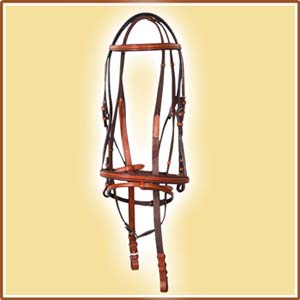 Snaffle Bridle